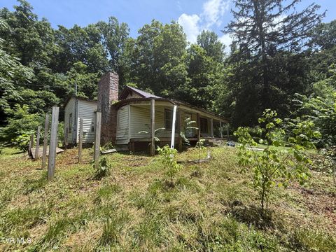 Tiny photo for 1340 Ryan Road, Fall Branch, TN 37656 (MLS # 9982172)