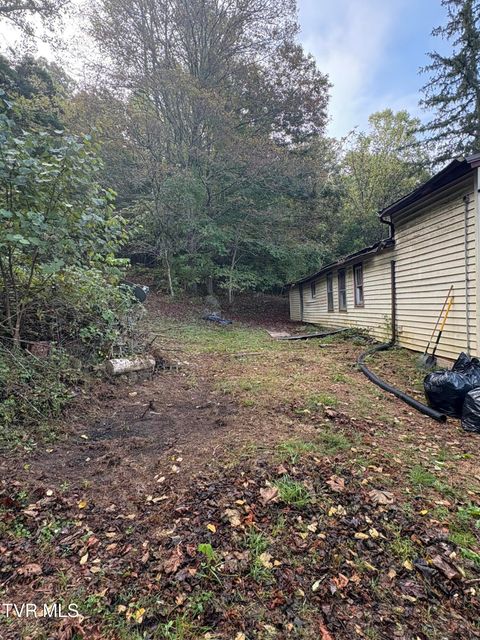 Tiny photo for 1340 Ryan Road, Fall Branch, TN 37656 (MLS # 9982172)