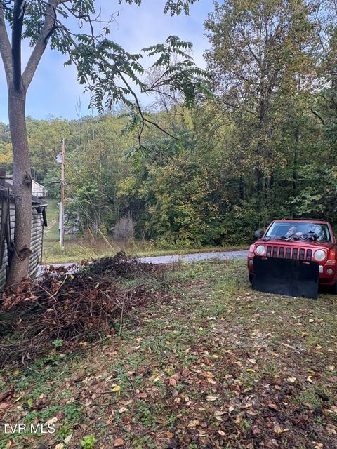 Tiny photo for 1340 Ryan Road, Fall Branch, TN 37656 (MLS # 9982172)