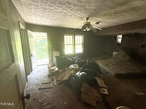 Tiny photo for 1340 Ryan Road, Fall Branch, TN 37656 (MLS # 9982172)