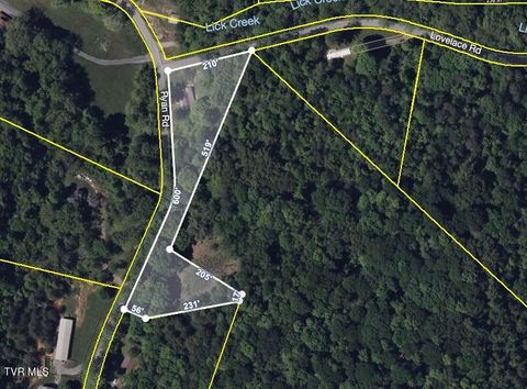 Tiny photo for 1340 Ryan Road, Fall Branch, TN 37656 (MLS # 9982172)