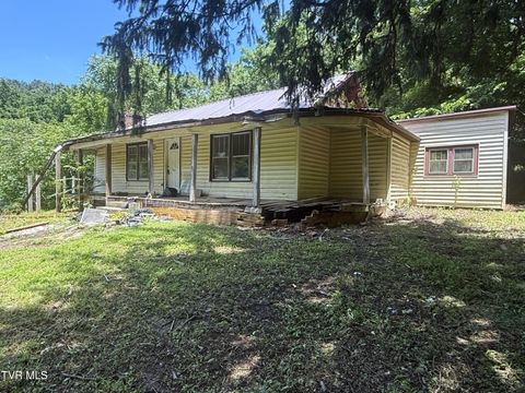 Tiny photo for 1340 Ryan Road, Fall Branch, TN 37656 (MLS # 9982172)