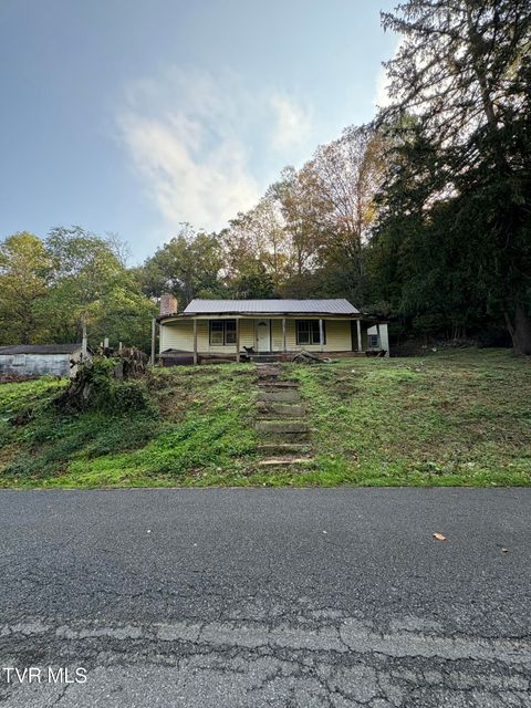 Tiny photo for 1340 Ryan Road, Fall Branch, TN 37656 (MLS # 9982172)