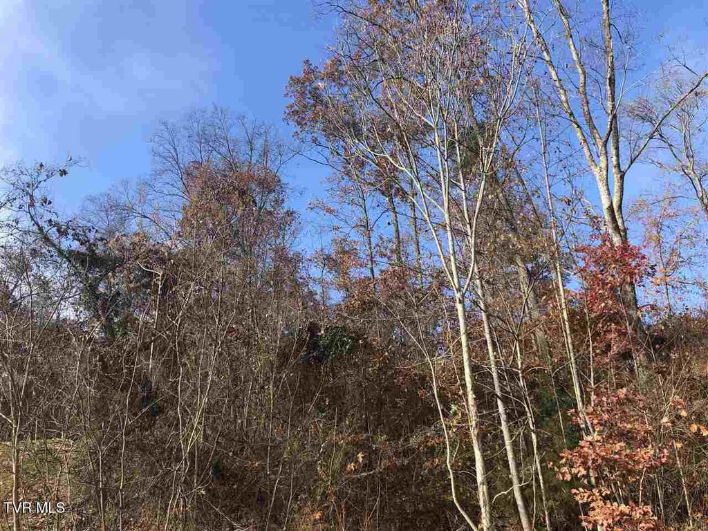 Photo of 212 Austin Drive, Rogersville, TN 37857 (MLS # 9978308)