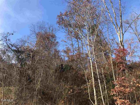 Vacant Land For Sale - 212 Austin Drive<br/> Rogersville, TN 37857