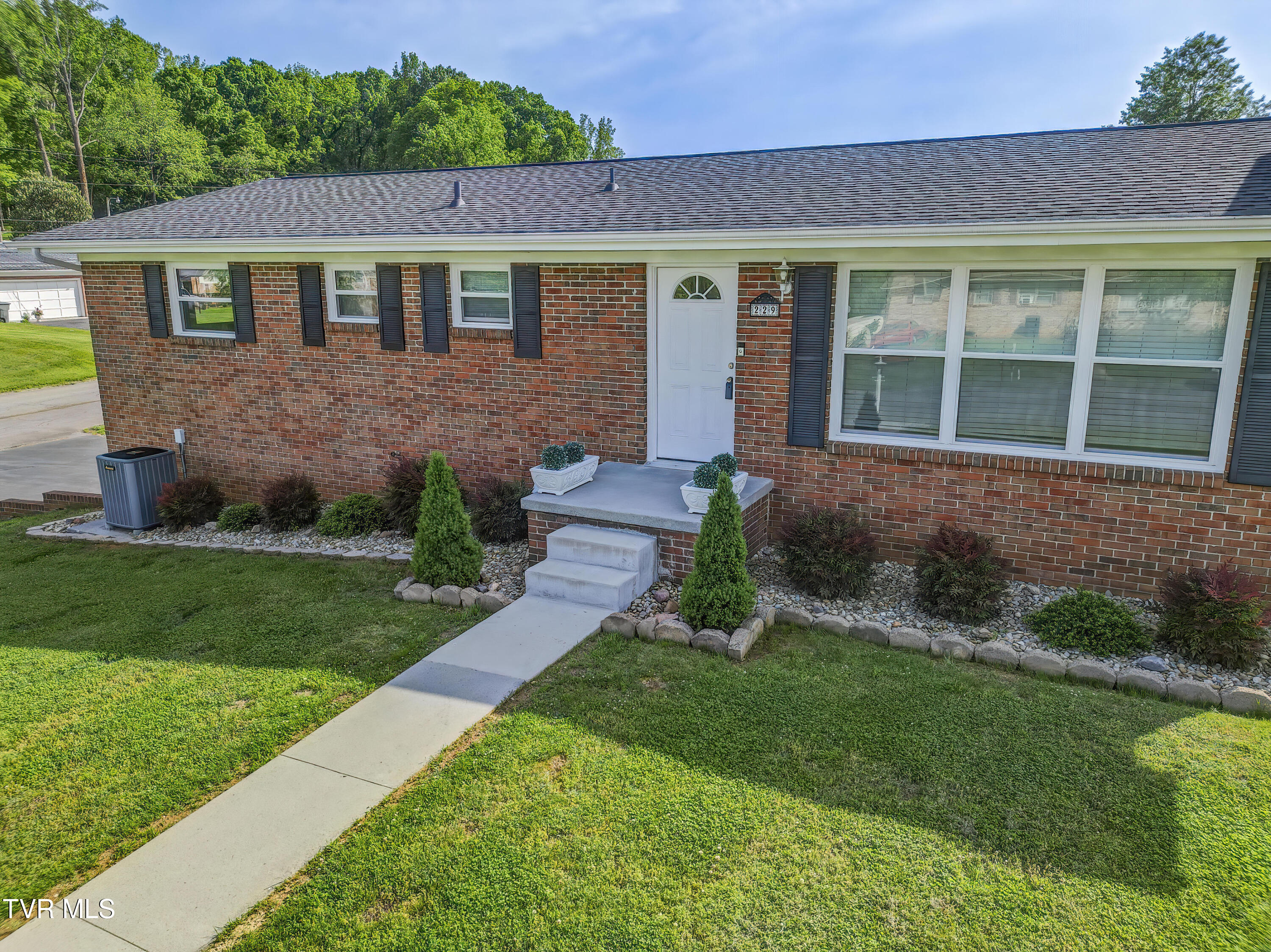 229 Minuteman Drive, Bluff City, Tennessee image 2