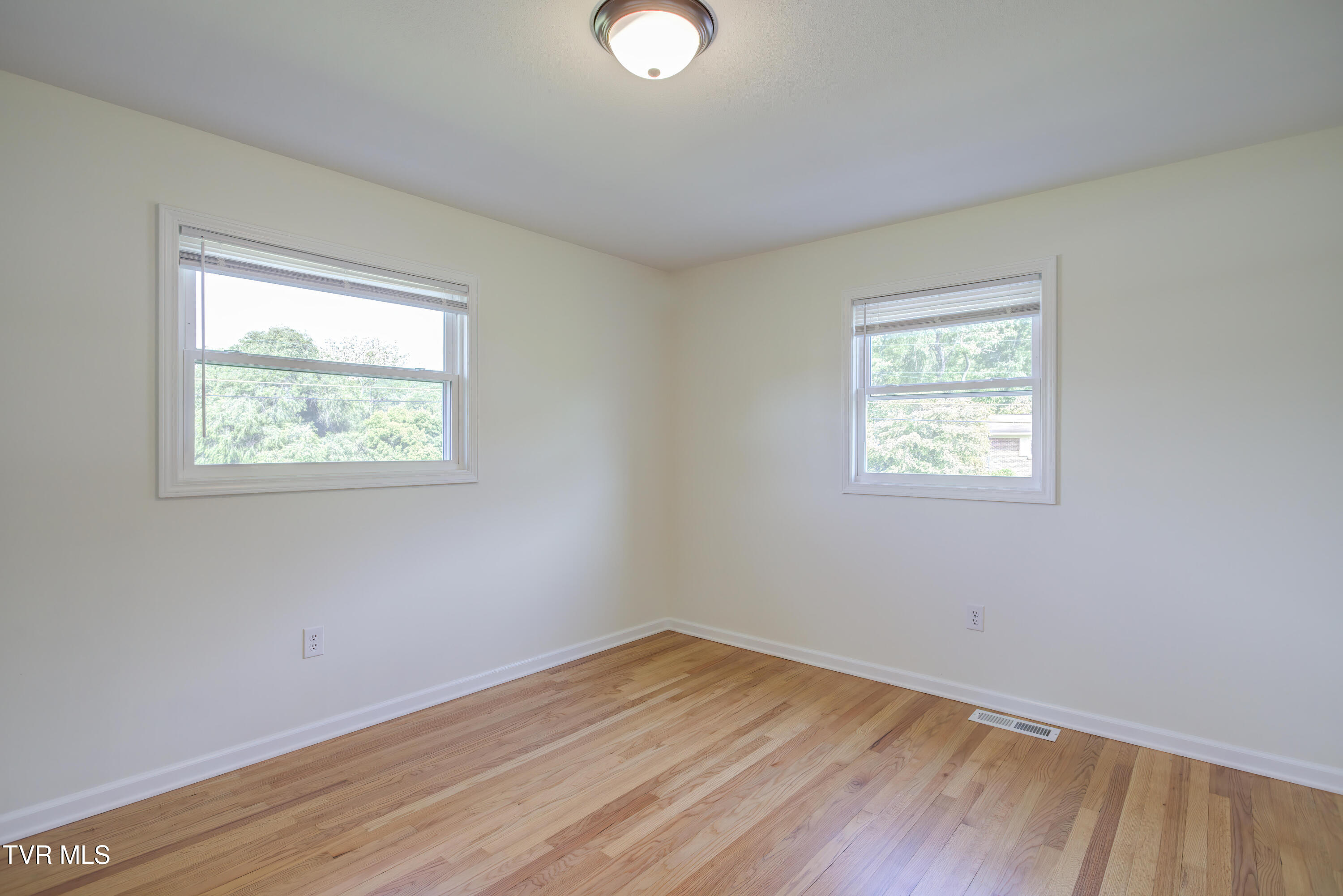 229 Minuteman Drive, Bluff City, Tennessee image 23