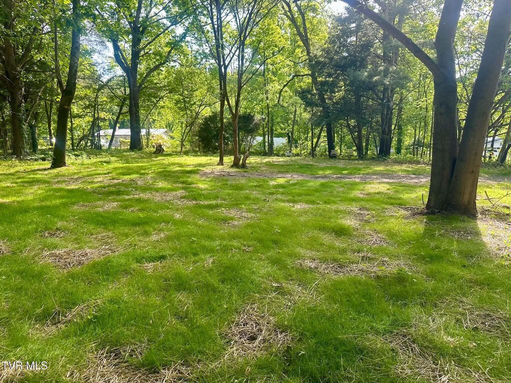 Photo of 6945 U.S. 421 Scenic, Bristol, TN 37620 (MLS # 9995623)