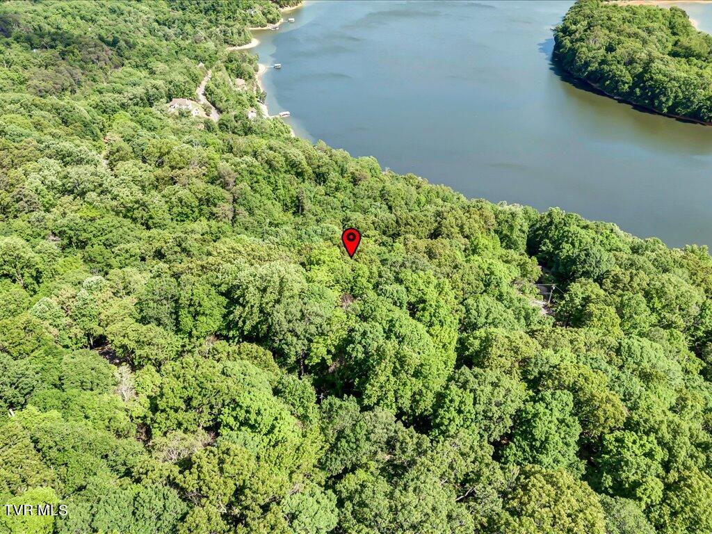 1202 Keetoowah Drive, Mooresburg, Tennessee image 13