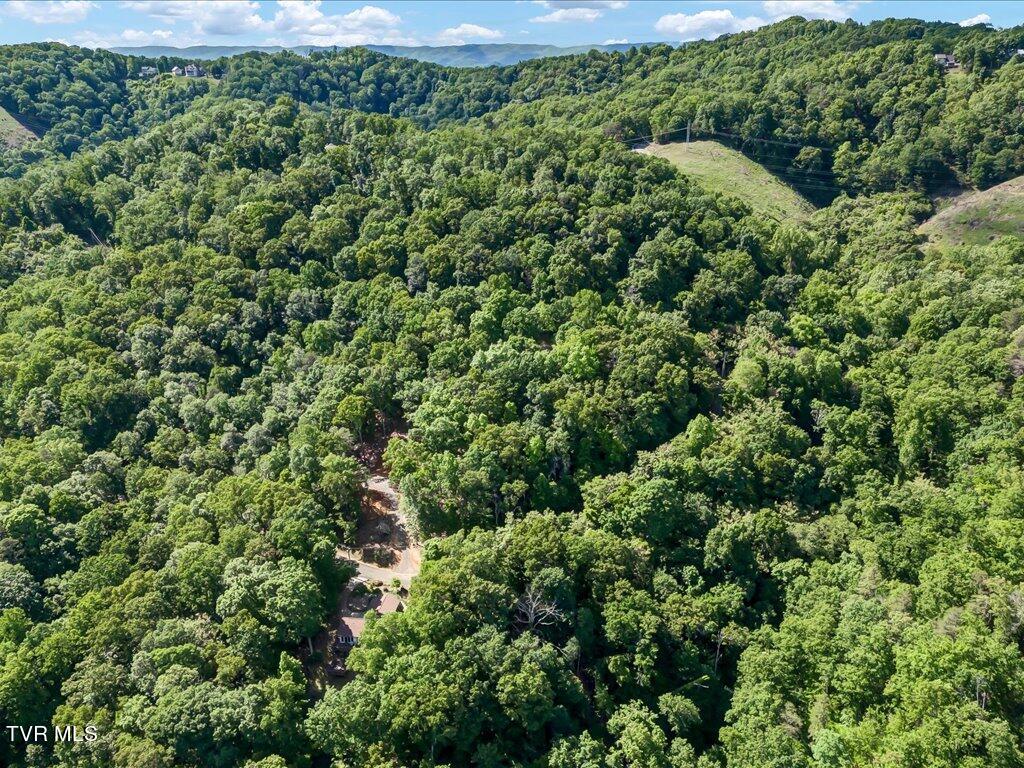 1202 Keetoowah Drive, Mooresburg, Tennessee image 16