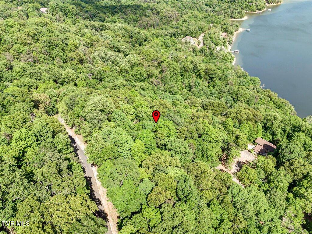 1202 Keetoowah Drive, Mooresburg, Tennessee image 12