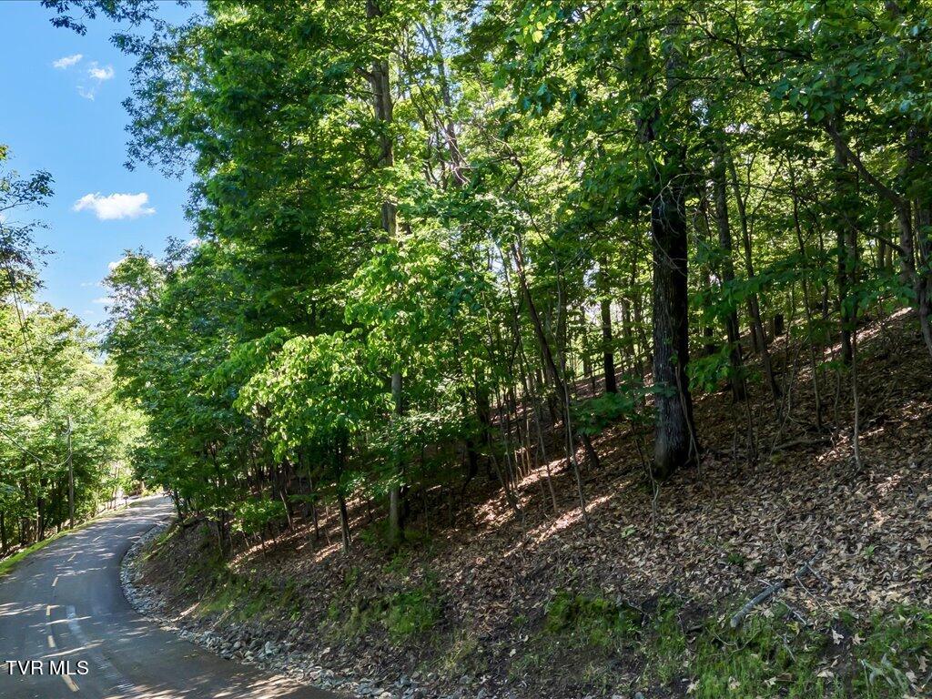 1202 Keetoowah Drive, Mooresburg, Tennessee image 3
