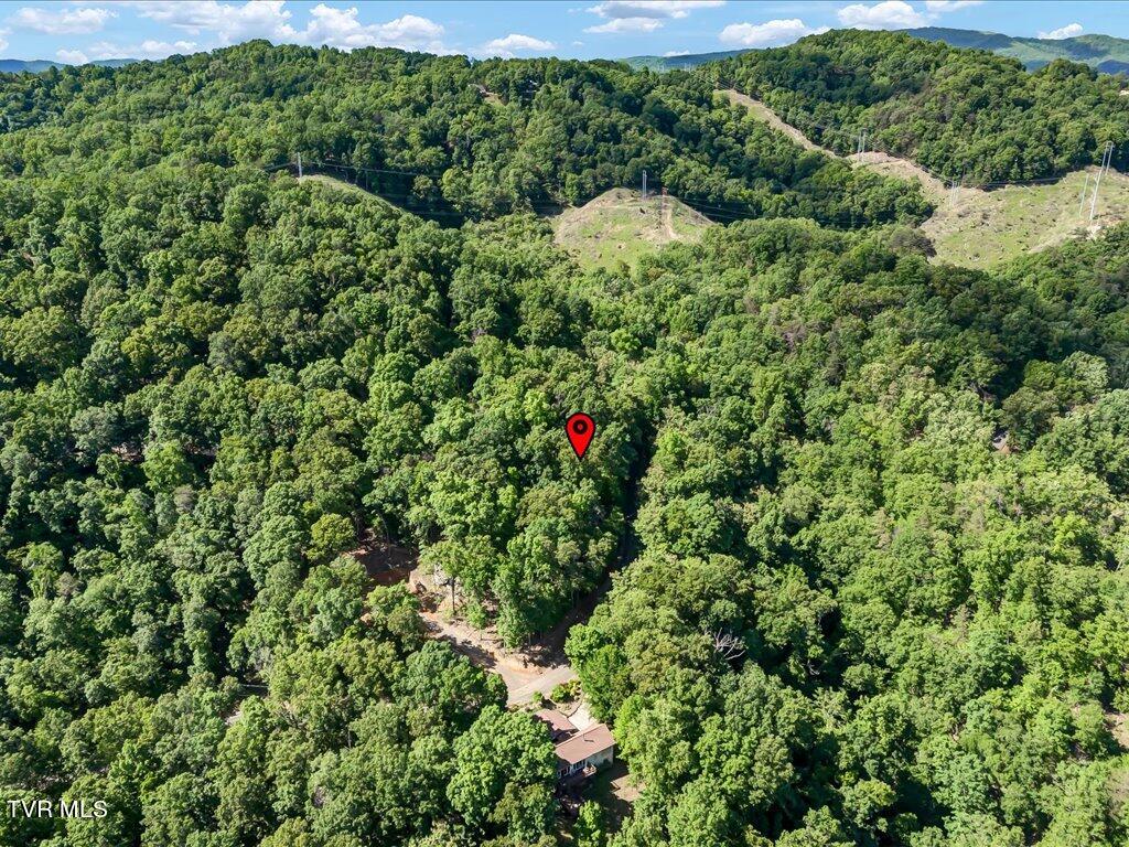 1202 Keetoowah Drive, Mooresburg, Tennessee image 17