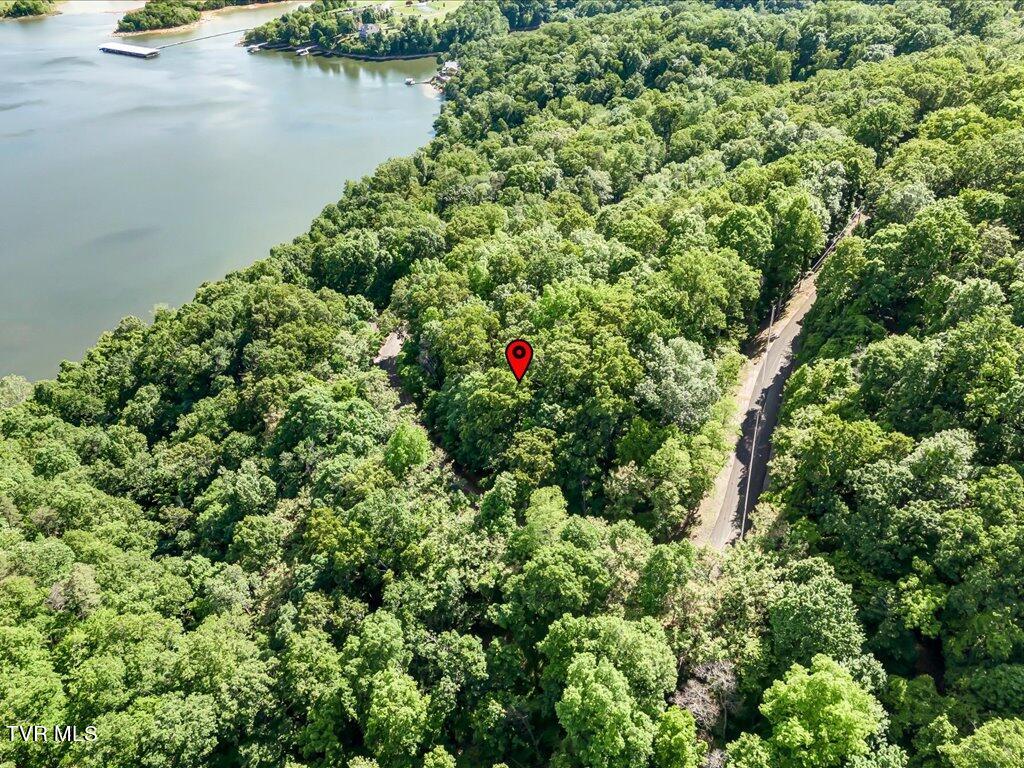 1202 Keetoowah Drive, Mooresburg, Tennessee image 14