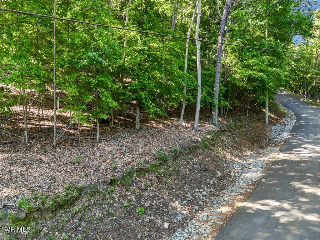 1202 Keetoowah Drive, Mooresburg, Tennessee image 1