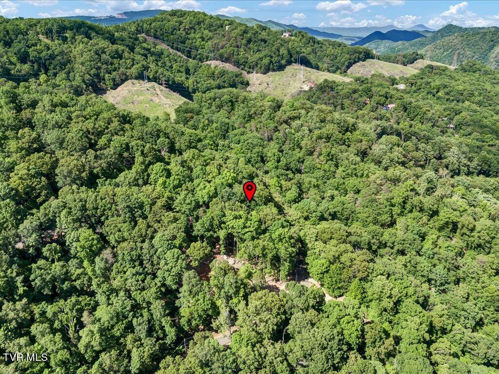 1202 Keetoowah Drive, Mooresburg, Tennessee image 18