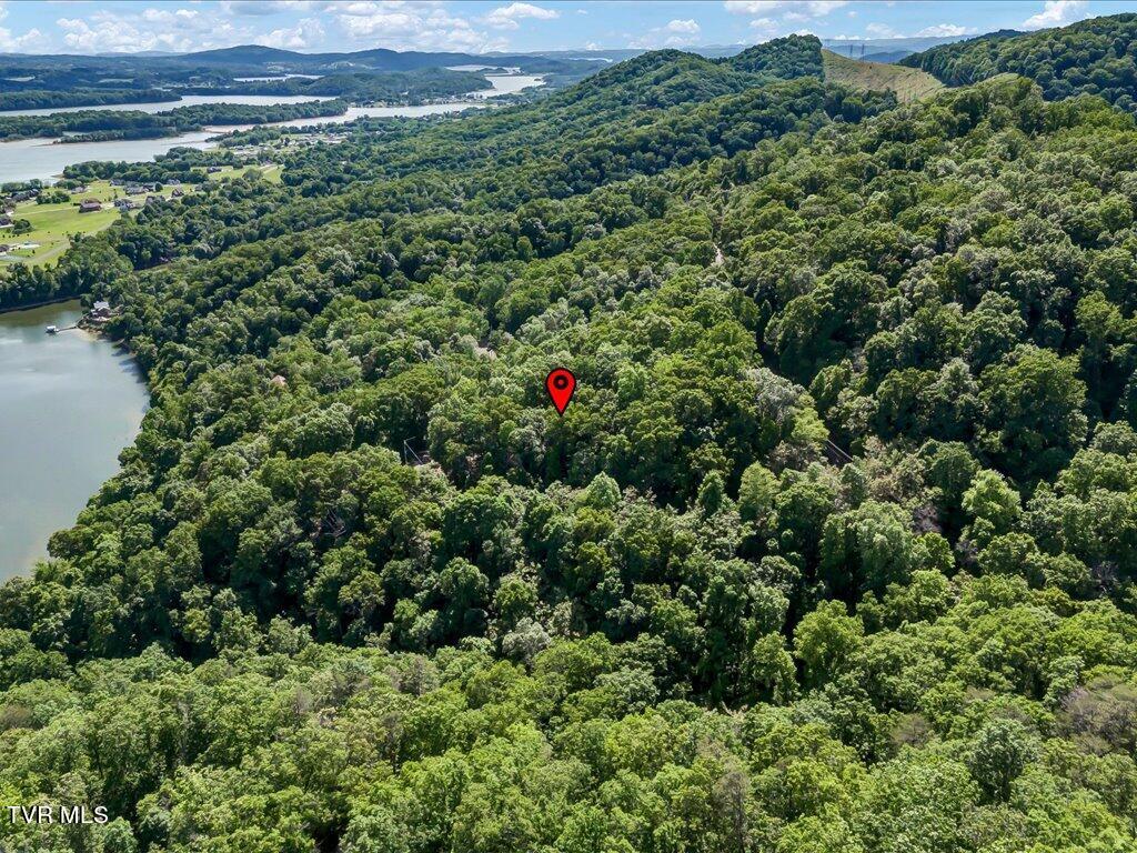 1202 Keetoowah Drive, Mooresburg, Tennessee image 7