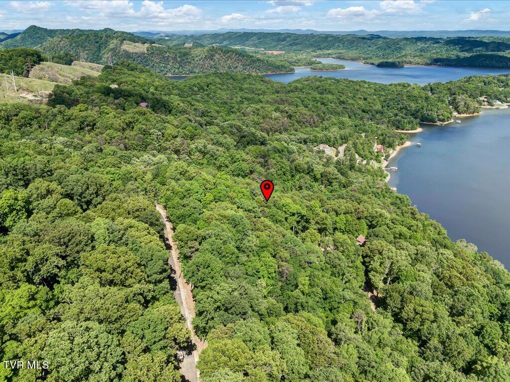1202 Keetoowah Drive, Mooresburg, Tennessee image 21