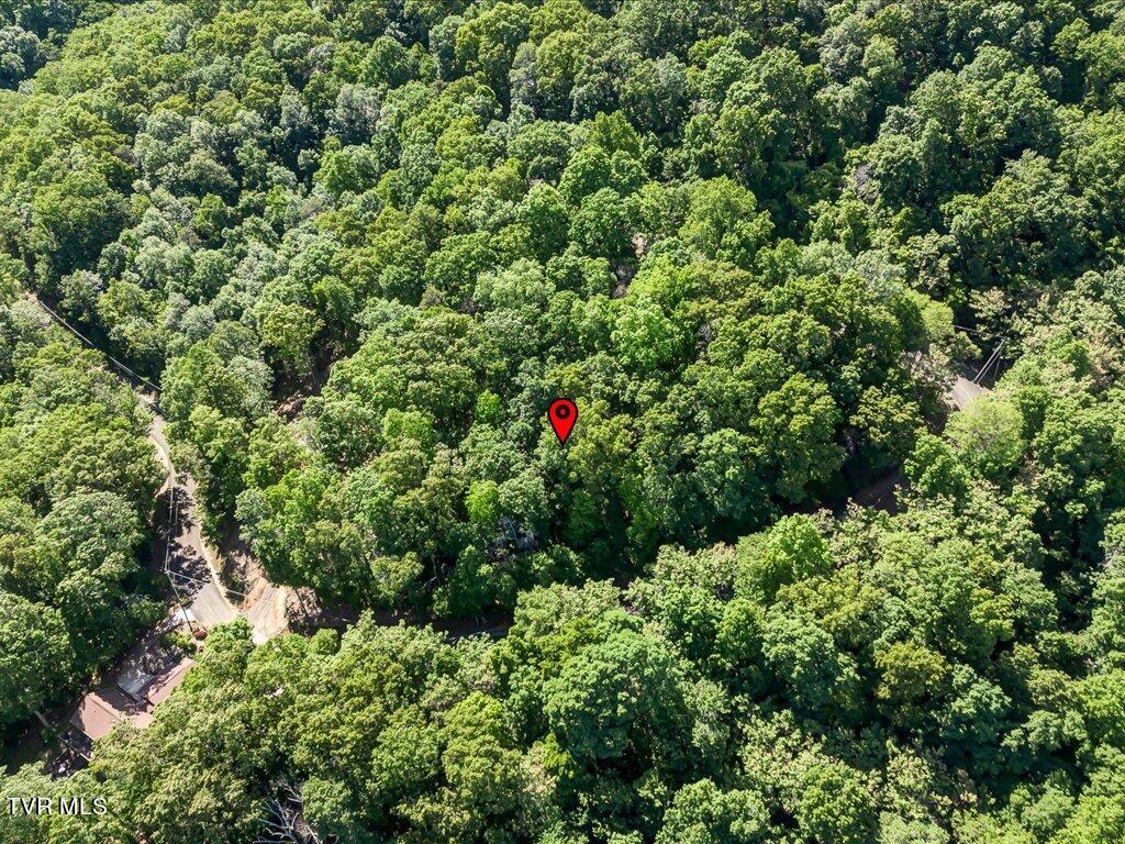 1202 Keetoowah Drive, Mooresburg, Tennessee image 9