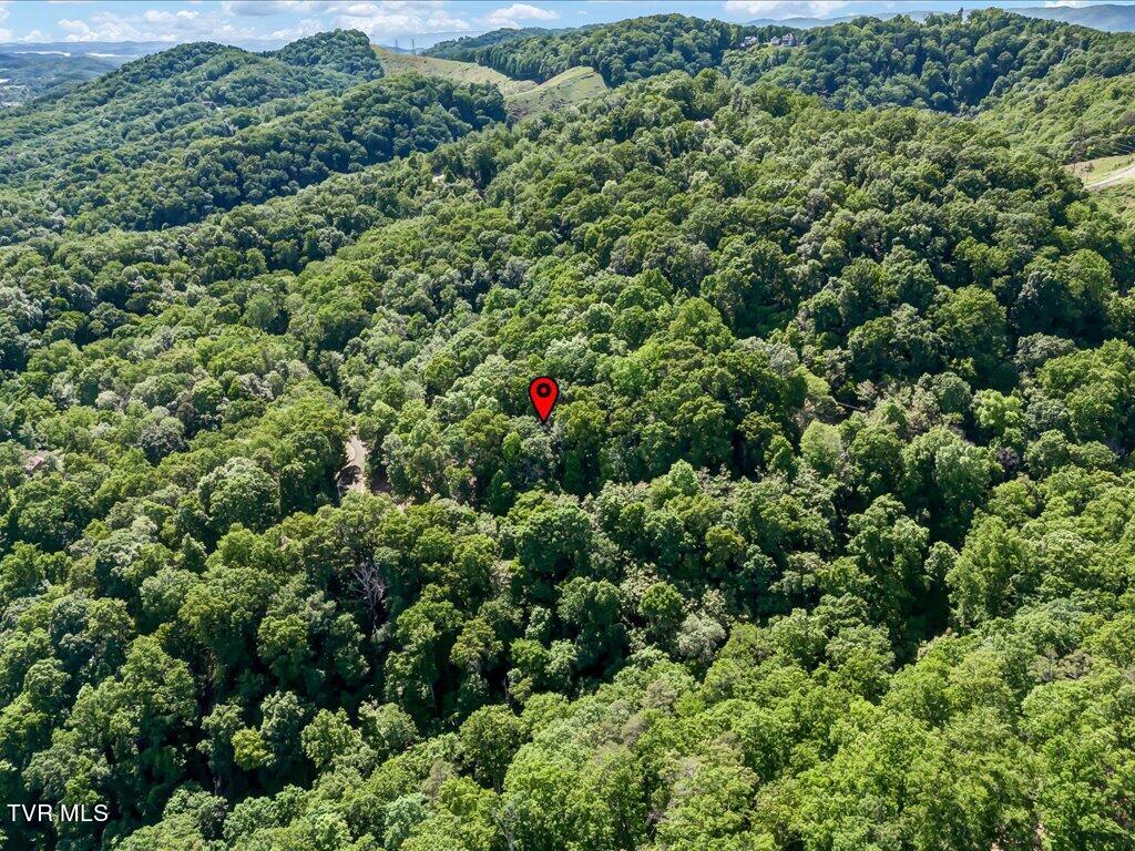 1202 Keetoowah Drive, Mooresburg, Tennessee image 8