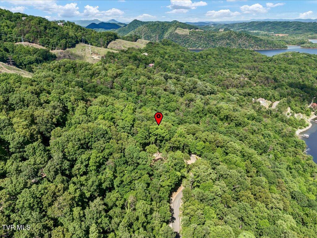 1202 Keetoowah Drive, Mooresburg, Tennessee image 20