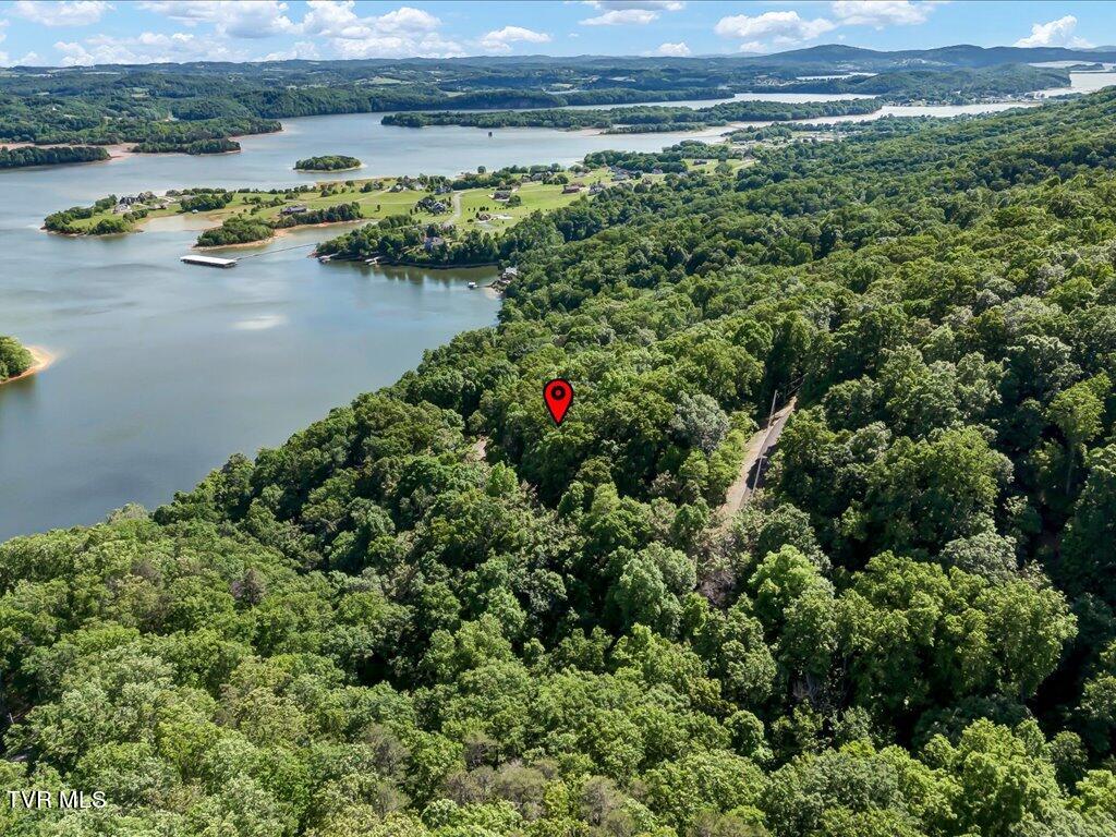 1202 Keetoowah Drive, Mooresburg, Tennessee image 15