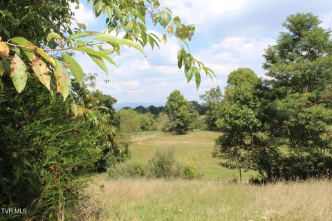 Vacant Land For Sale - TBD Chestnut Ridge Road<br/> Smyth County, Chilhowie, VA 24319