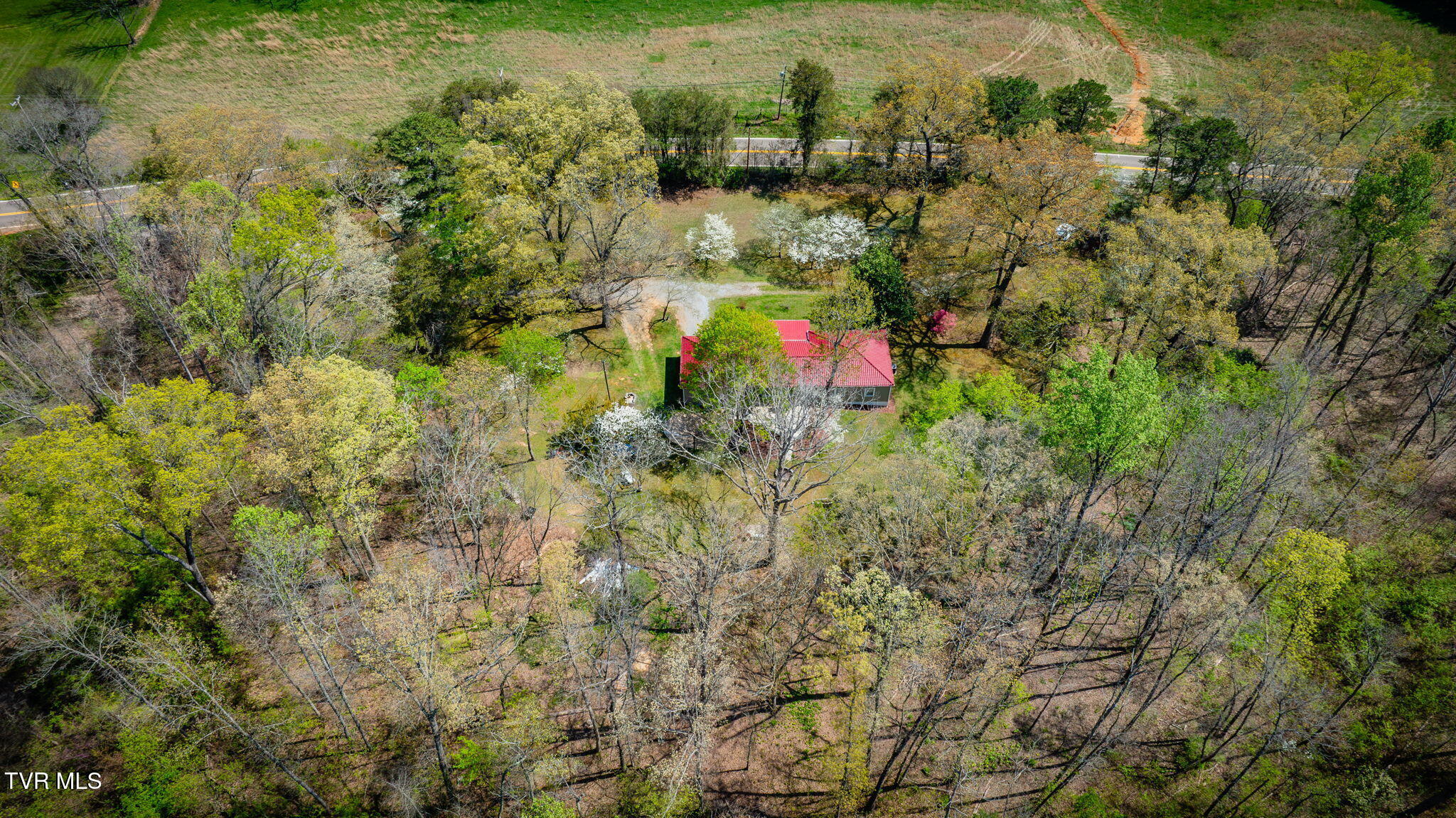 3990 Warrensburg Road, Greeneville, Tennessee image 42
