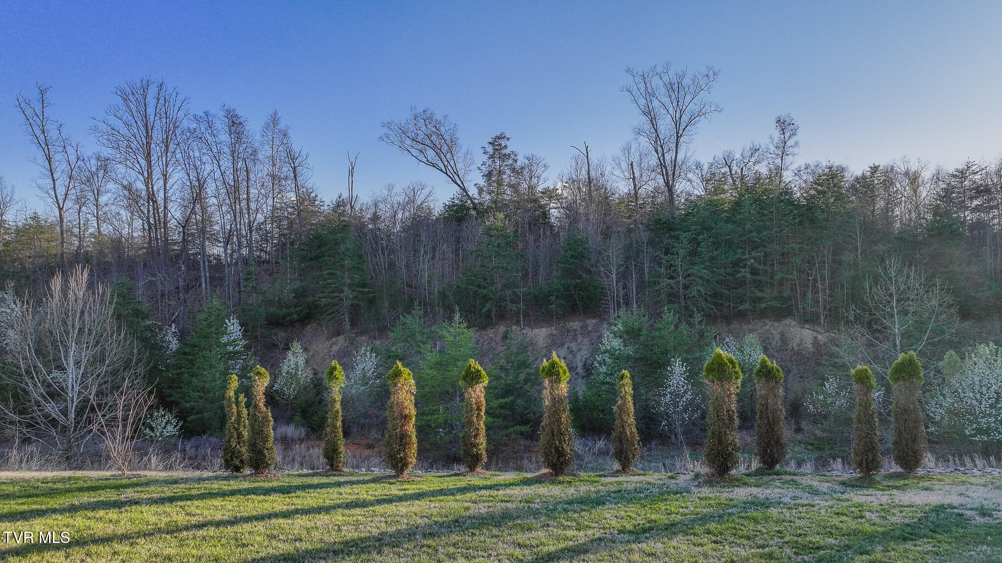 374 Coldwater Drive, Johnson City, Tennessee image 25