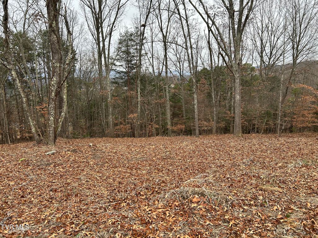 Photo of 252 Carrie Circle, Mount Carmel, TN 37645 (MLS # 9989168)