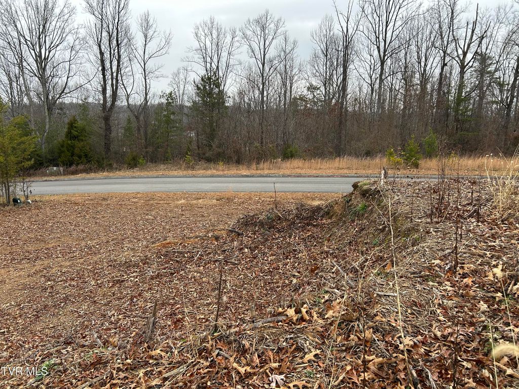 Photo of 252 Carrie Circle, Mount Carmel, TN 37645 (MLS # 9989168)