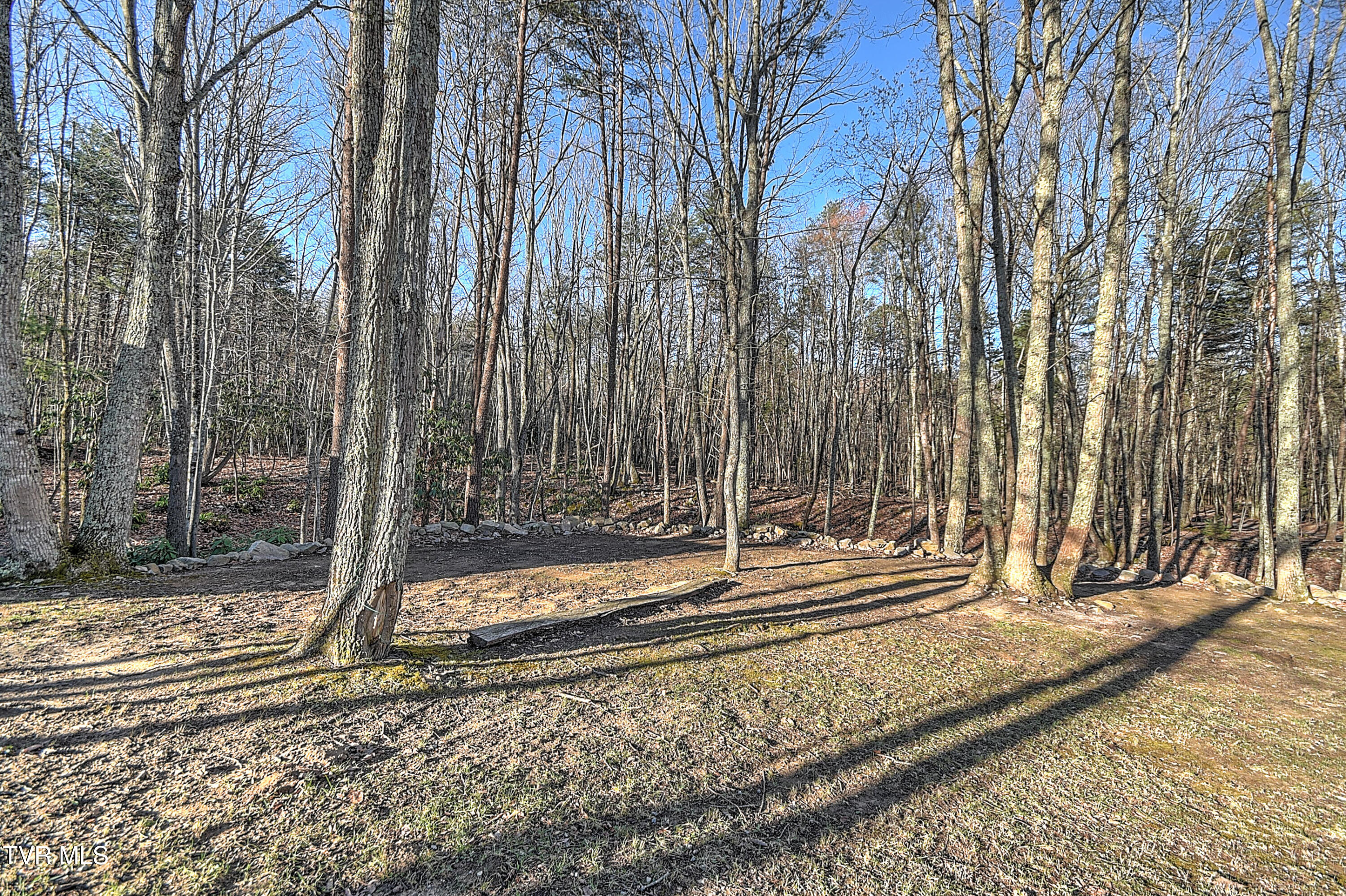 1026 Lightnen Road, Parrottsville, Tennessee image 34