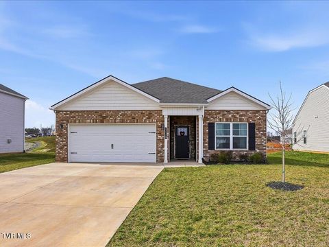 Photo of 5128 Lost Creek Drive, Morristown, TN 37813 (MLS # 9991759)