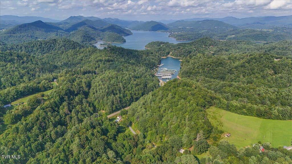 Photo of Tbd Whaley Town Road, Butler, TN 37640 (MLS # 9999388)