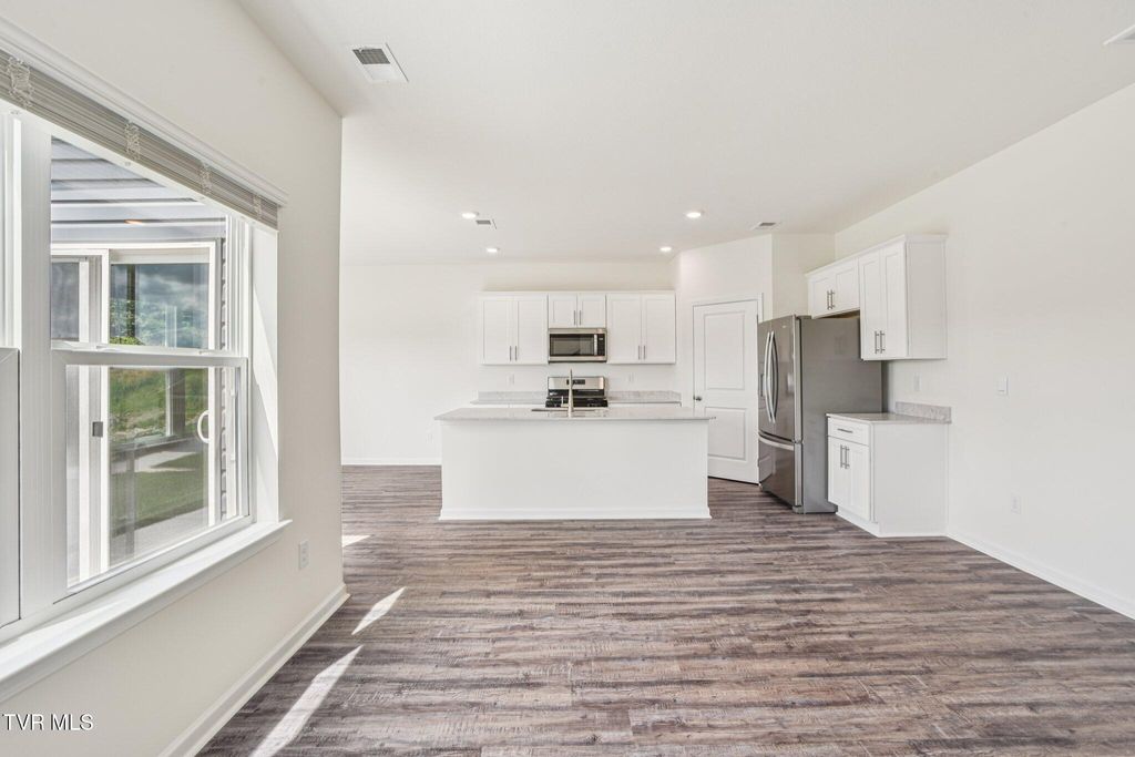 Photo of 123 Mint Court, Bluff City, TN 37618 (MLS # 9990098)