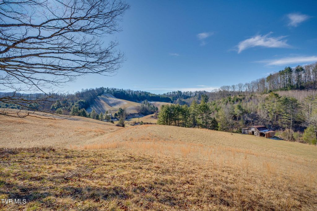 Photo of Tbd Waters Road, Laurel Bloomery, TN 37680 (MLS # 9990259)
