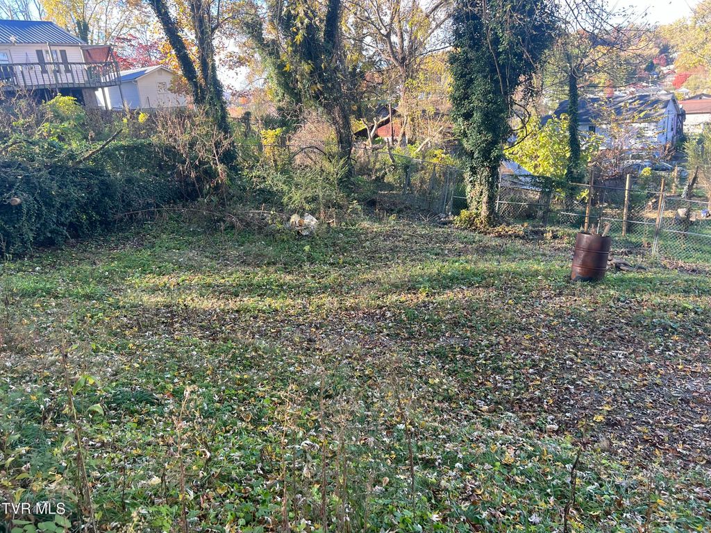 Photo of 306 Delaware Street, Kingsport, TN 37665 (MLS # 9988301)