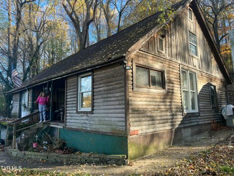 Photo of 306 Delaware Street, Kingsport, TN 37665 (MLS # 9988301)