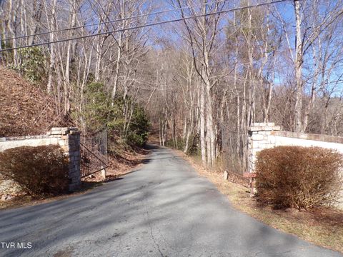 Vacant Land For Sale - TBD Banjo Ridge Lot 8,37,38 Road<br/> Johnson County, Butler, TN 37640