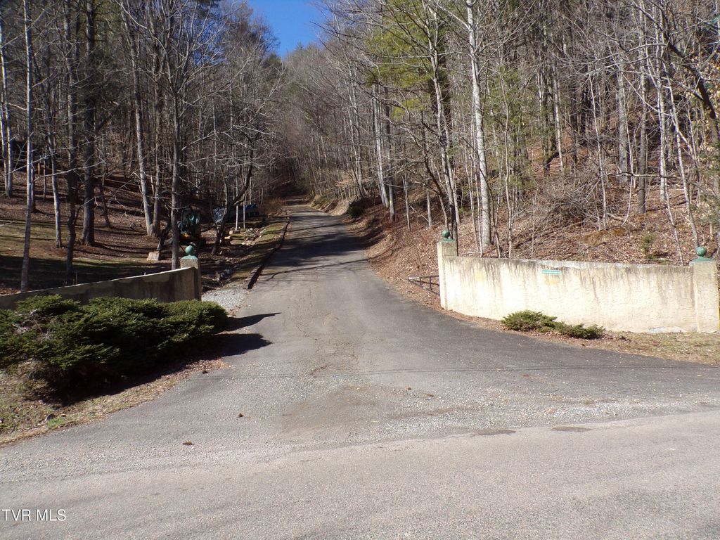 Photo of Tbd Banjo Ridge Lot 8,37,38 Road, Butler, TN 37640 (MLS # 9992105)