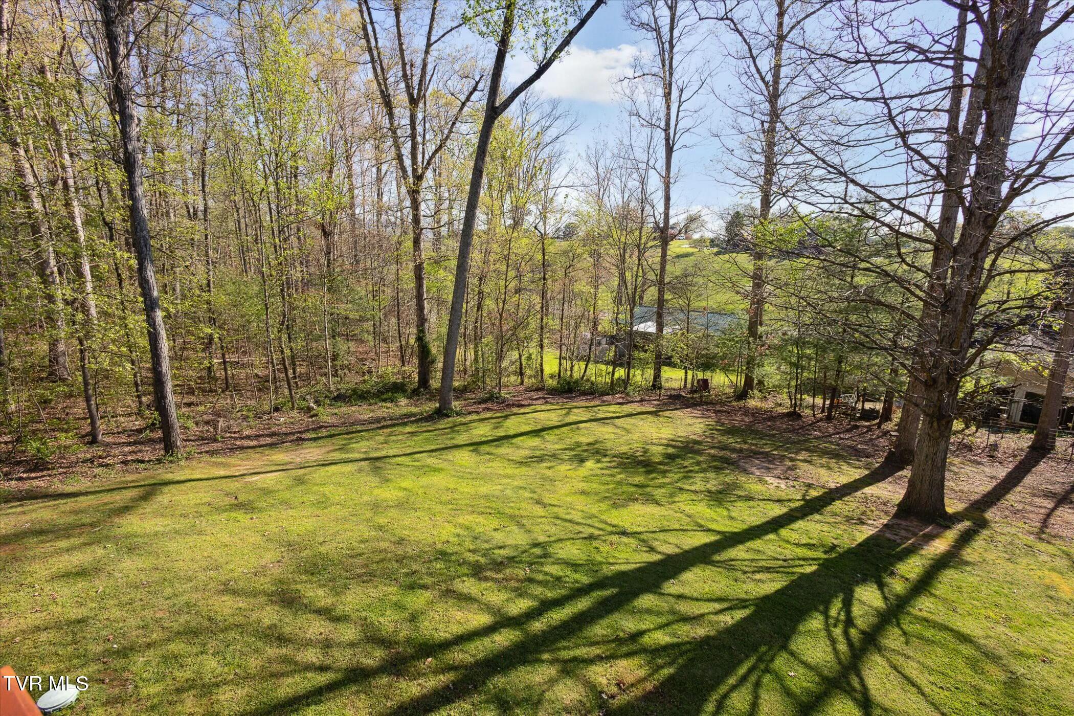 80 Noellwood Drive, Greeneville, Tennessee image 35