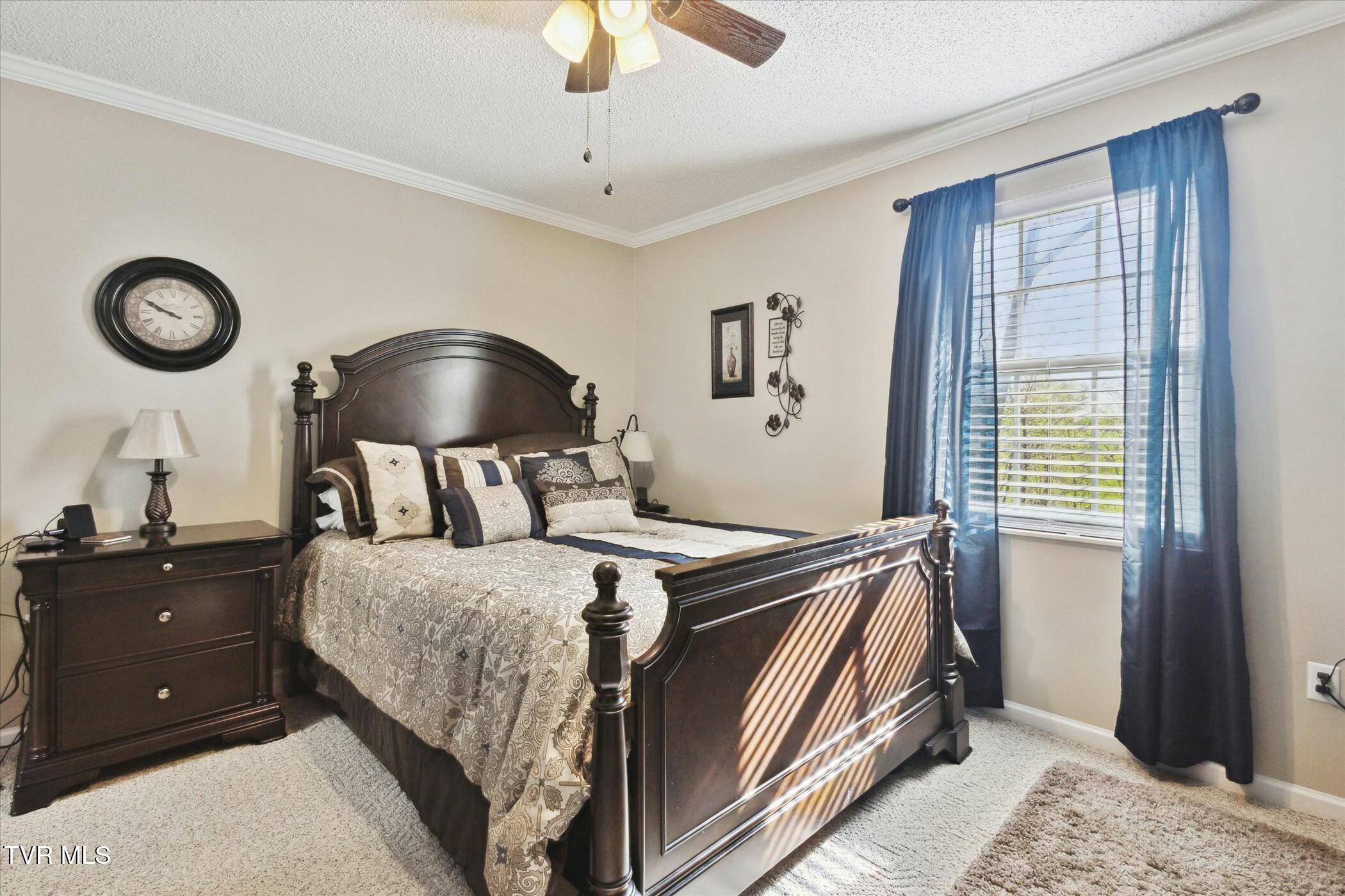 80 Noellwood Drive, Greeneville, Tennessee image 16