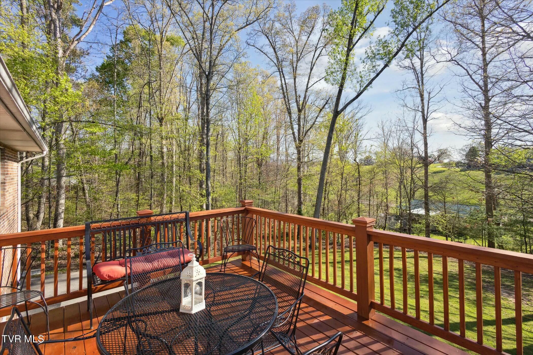 80 Noellwood Drive, Greeneville, Tennessee image 34