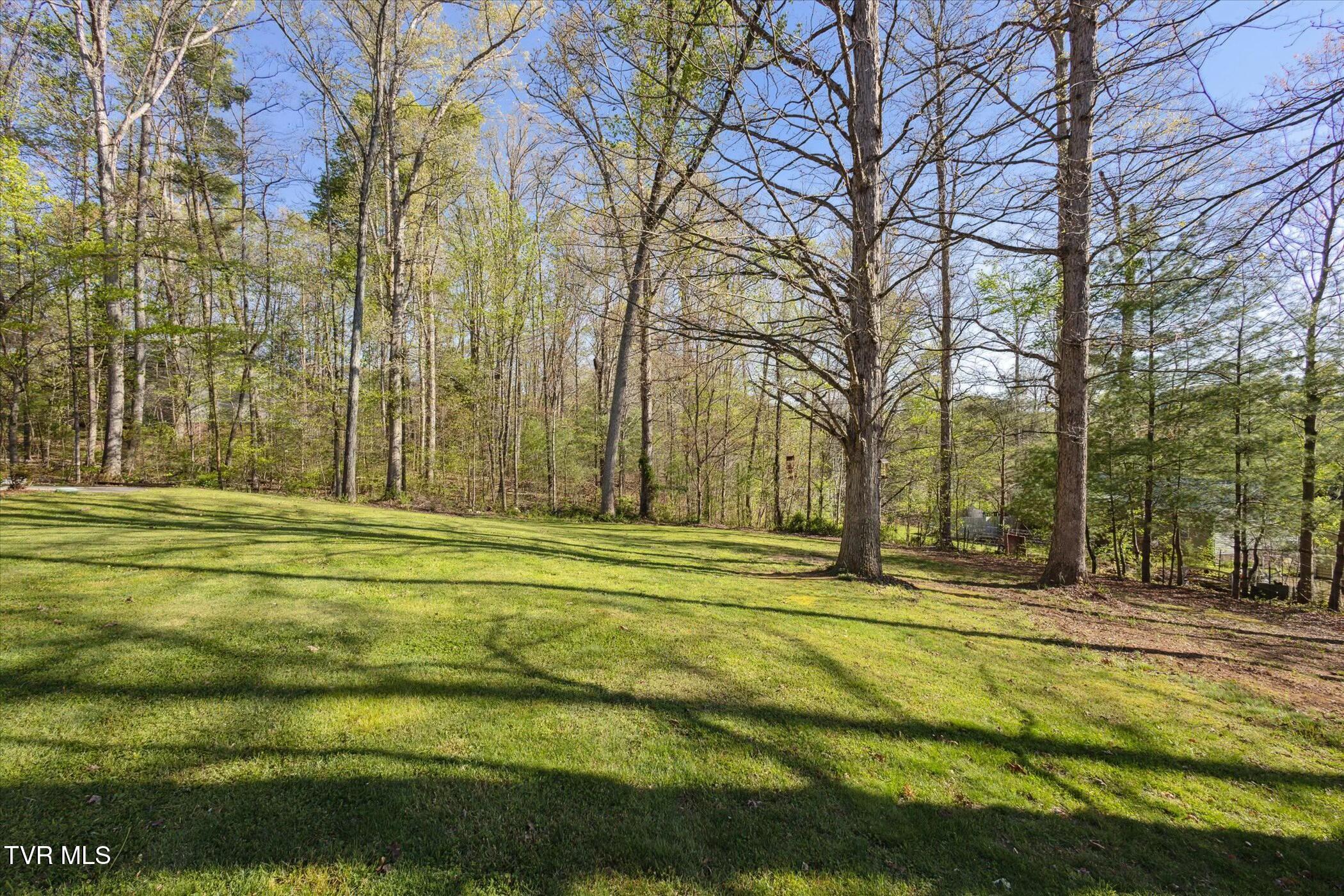 80 Noellwood Drive, Greeneville, Tennessee image 40