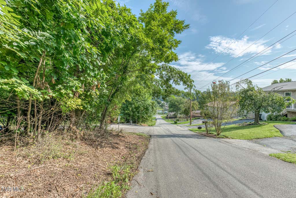 Photo of Tbd Angeline Drive, Johnson City, TN 37615 (MLS # 9999320)