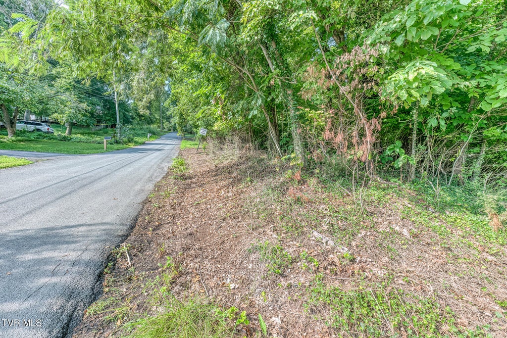 Photo of Tbd Angeline Drive, Johnson City, TN 37615 (MLS # 9999320)