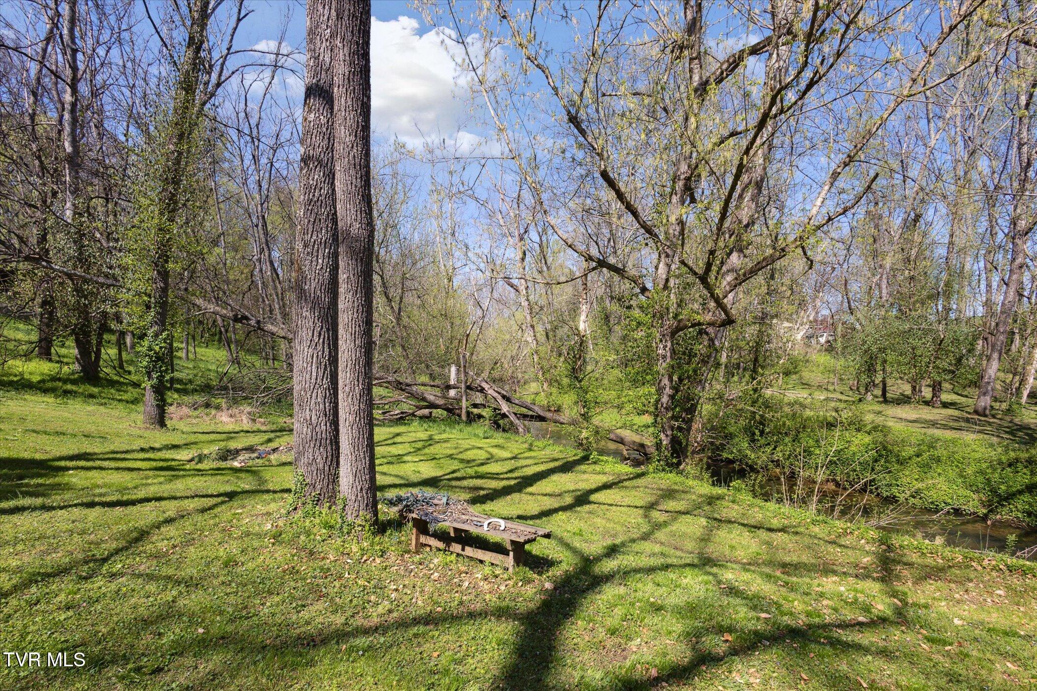 3118 Old State Route 34, Limestone, Tennessee image 43