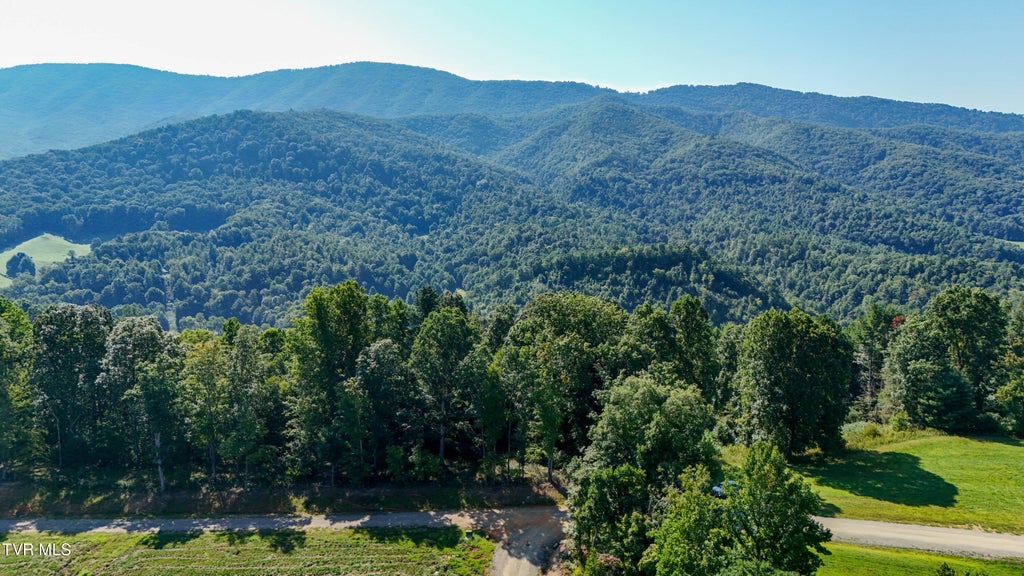 Photo of 81 Summerfield Drive, Butler, TN 37640 (MLS # 10000561)