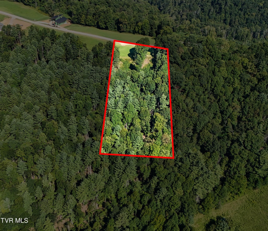 Photo of 81 Summerfield Drive, Butler, TN 37640 (MLS # 10000561)