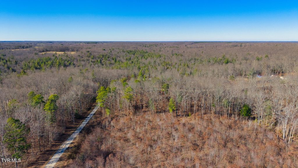 Photo of 0 Hill Road, Deer Lodge, TN 37726 (MLS # 9991823)